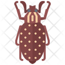 پیش‌نمایش فایل beetle-5923474 از پک سوسک‌ها