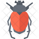 پیش‌نمایش فایل beetle-5923476 از پک سوسک‌ها