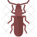پیش‌نمایش فایل beetle-5923477 از پک سوسک‌ها