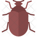 پیش‌نمایش فایل beetle-5923478 از پک سوسک‌ها