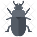 پیش‌نمایش فایل beetle-5923482 از پک سوسک‌ها