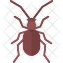 پیش‌نمایش فایل beetle-5923483 از پک سوسک‌ها