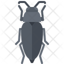 پیش‌نمایش فایل beetle-5923488 از پک سوسک‌ها