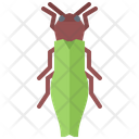 پیش‌نمایش فایل beetle-5923489 از پک سوسک‌ها