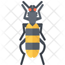 پیش‌نمایش فایل beetle-5923490 از پک سوسک‌ها