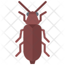 پیش‌نمایش فایل beetle-5923493 از پک سوسک‌ها