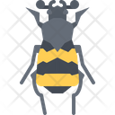 پیش‌نمایش فایل beetle-5923495 از پک سوسک‌ها