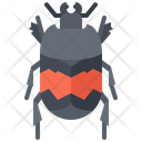 پیش‌نمایش فایل beetle-5923498 از پک سوسک‌ها