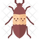 پیش‌نمایش فایل cockroach-5923479 از پک سوسک‌ها