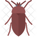 پیش‌نمایش فایل grass-beetle-5923491 از پک سوسک‌ها