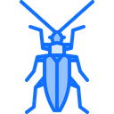 پیش‌نمایش فایل beetle-5923409 از پک سوسک‌ها