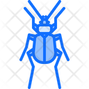 پیش‌نمایش فایل beetle-5923411 از پک سوسک‌ها