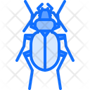 پیش‌نمایش فایل beetle-5923413 از پک سوسک‌ها