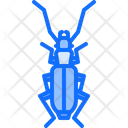 پیش‌نمایش فایل beetle-5923415 از پک سوسک‌ها