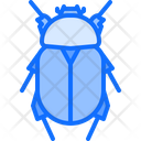 پیش‌نمایش فایل beetle-5923424 از پک سوسک‌ها