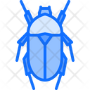 پیش‌نمایش فایل beetle-5923425 از پک سوسک‌ها