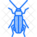 پیش‌نمایش فایل beetle-5923433 از پک سوسک‌ها