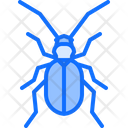 پیش‌نمایش فایل beetle-5923435 از پک سوسک‌ها