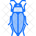 پیش‌نمایش فایل beetle-5923440 از پک سوسک‌ها