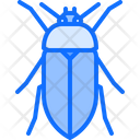پیش‌نمایش فایل beetle-5923443 از پک سوسک‌ها