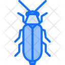 پیش‌نمایش فایل beetle-5923445 از پک سوسک‌ها