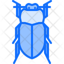 پیش‌نمایش فایل cicada-5923419 از پک سوسک‌ها