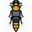 پیش‌نمایش فایل bee-5923401 از پک سوسک‌ها