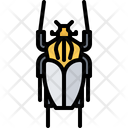 پیش‌نمایش فایل beetle-5923360 از پک سوسک‌ها
