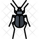پیش‌نمایش فایل beetle-5923361 از پک سوسک‌ها