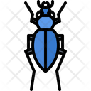 پیش‌نمایش فایل beetle-5923364 از پک سوسک‌ها