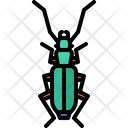 پیش‌نمایش فایل beetle-5923365 از پک سوسک‌ها