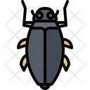 پیش‌نمایش فایل beetle-5923367 از پک سوسک‌ها