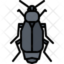 پیش‌نمایش فایل beetle-5923370 از پک سوسک‌ها
