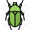پیش‌نمایش فایل beetle-5923375 از پک سوسک‌ها