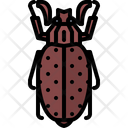 پیش‌نمایش فایل beetle-5923376 از پک سوسک‌ها