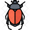 پیش‌نمایش فایل beetle-5923378 از پک سوسک‌ها