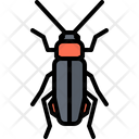پیش‌نمایش فایل beetle-5923383 از پک سوسک‌ها