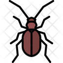 پیش‌نمایش فایل beetle-5923385 از پک سوسک‌ها