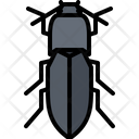 پیش‌نمایش فایل beetle-5923387 از پک سوسک‌ها