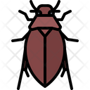پیش‌نمایش فایل beetle-5923398 از پک سوسک‌ها