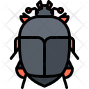 پیش‌نمایش فایل beetle-5923399 از پک سوسک‌ها