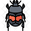 پیش‌نمایش فایل beetle-5923400 از پک سوسک‌ها
