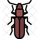 پیش‌نمایش فایل cockroach-5923379 از پک سوسک‌ها