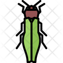 پیش‌نمایش فایل grass-beetle-5923391 از پک سوسک‌ها