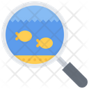 پیش‌نمایش فایل fish-searching-5919844 از پک غواصی