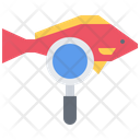 پیش‌نمایش فایل searching-fish-5919860 از پک غواصی