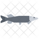 پیش‌نمایش فایل aquatic-animal-5918961 از پک ماهی