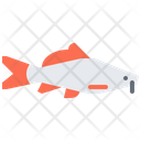 پیش‌نمایش فایل catfish-5918952 از پک ماهی