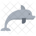پیش‌نمایش فایل dolphin-5918926 از پک ماهی