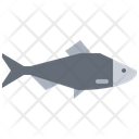 پیش‌نمایش فایل fish-5918940 از پک ماهی